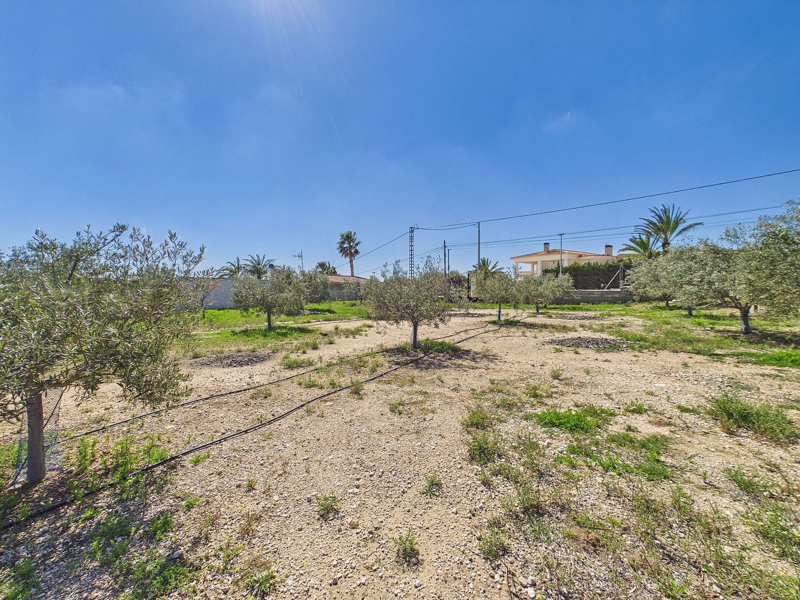 3 soveværelse Villa til salg i Albatera med swimmingpool - € 380.000 (Ref: 9684016)