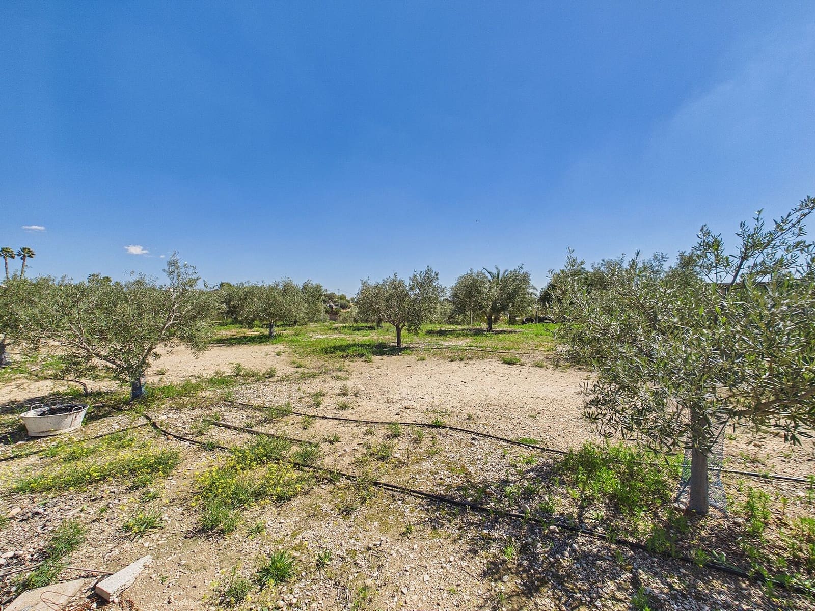 3 soveværelse Villa til salg i Albatera med swimmingpool - € 380.000 (Ref: 9684016)