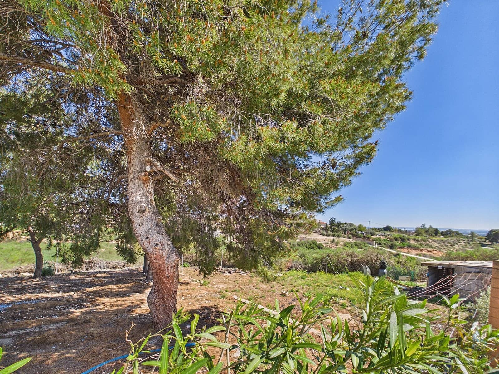 3 soveværelse Villa til salg i Albatera med swimmingpool - € 380.000 (Ref: 9684016)