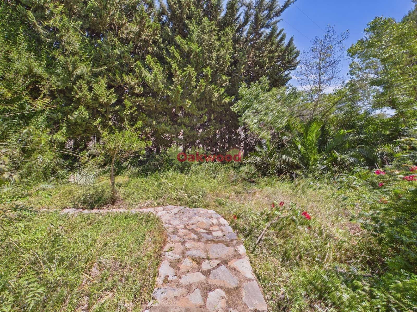 3 bedroom Villa for sale in Pinar de Campoverde with pool - € 259,950 (Ref: 9825808)