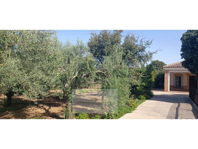 4 slaapkamer Finca/Landhuis te koop in Arcos de la Frontera met zwembad - € 300.000 (Ref: 10022435)