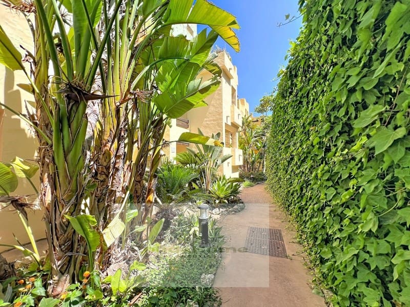 2 soverom Leilighet til leie i La Duquesa / Puerto de la Duquesa med svømmebasseng garasje - € 1 650 (Ref: 10041007)