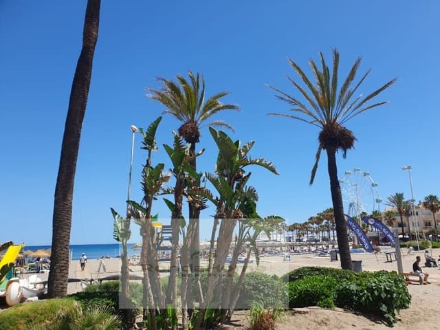 Wohnung zu vermieten in Puerto Marina, Benalmádena - 950 € (Ref: 10089485)