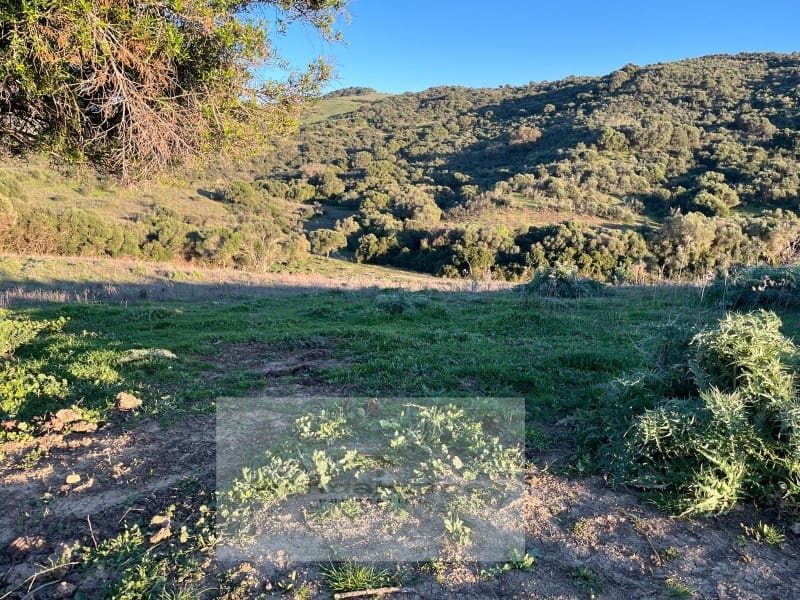 1 bedroom Finca/Country House for sale in Gaucin - € 180,000 (Ref: 9082004)