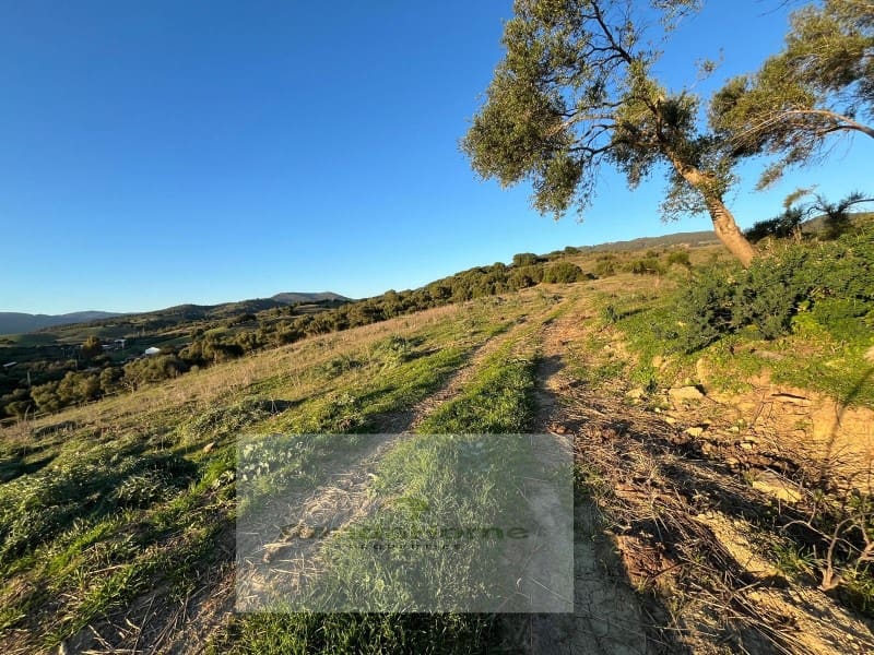 1 bedroom Finca/Country House for sale in Gaucin - € 180,000 (Ref: 9082004)