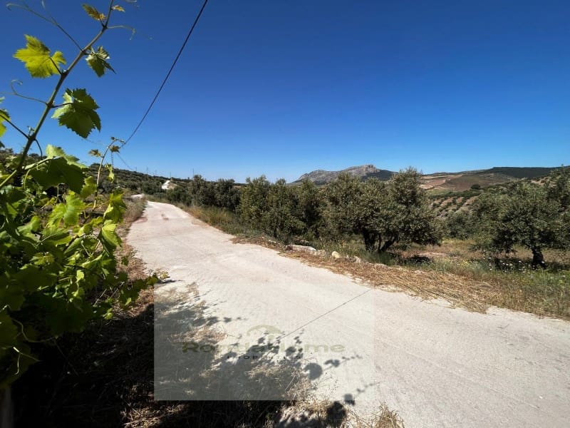 3 sypialnia Finka/Dom wiejski na sprzedaż w Ronda - 225 000 € (Ref: 9082009)