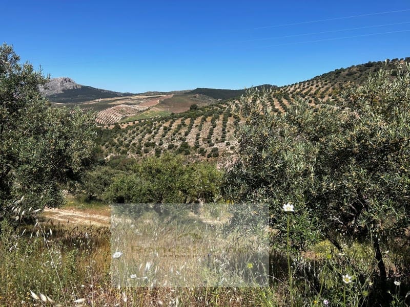 3 sypialnia Finka/Dom wiejski na sprzedaż w Ronda - 225 000 € (Ref: 9082009)