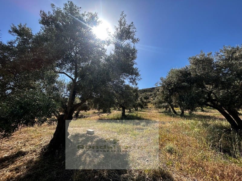 3 sypialnia Finka/Dom wiejski na sprzedaż w Ronda - 225 000 € (Ref: 9082009)