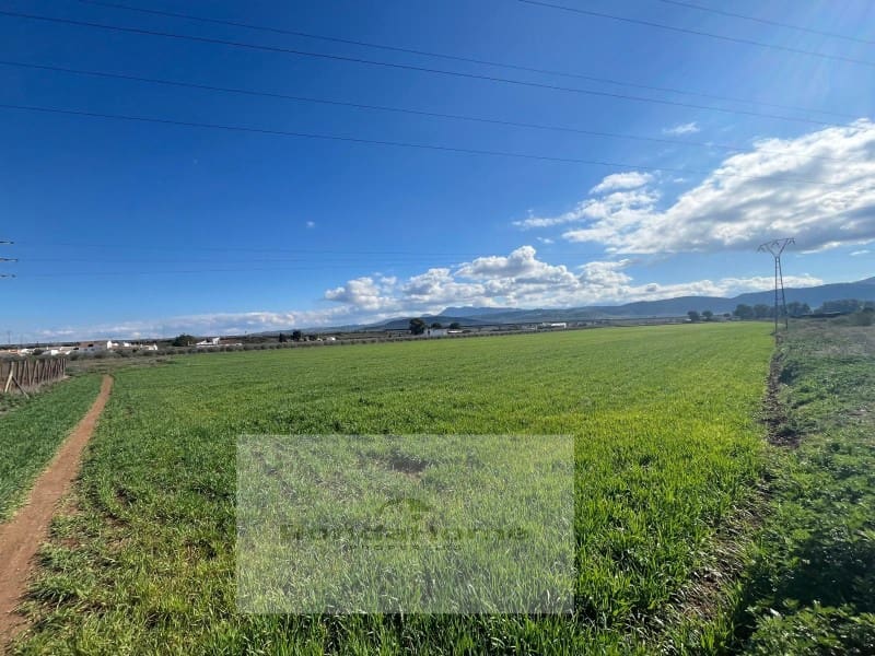 7 soveværelse Finca/Landehus til salg i Antequera - € 430.000 (Ref: 9105065)