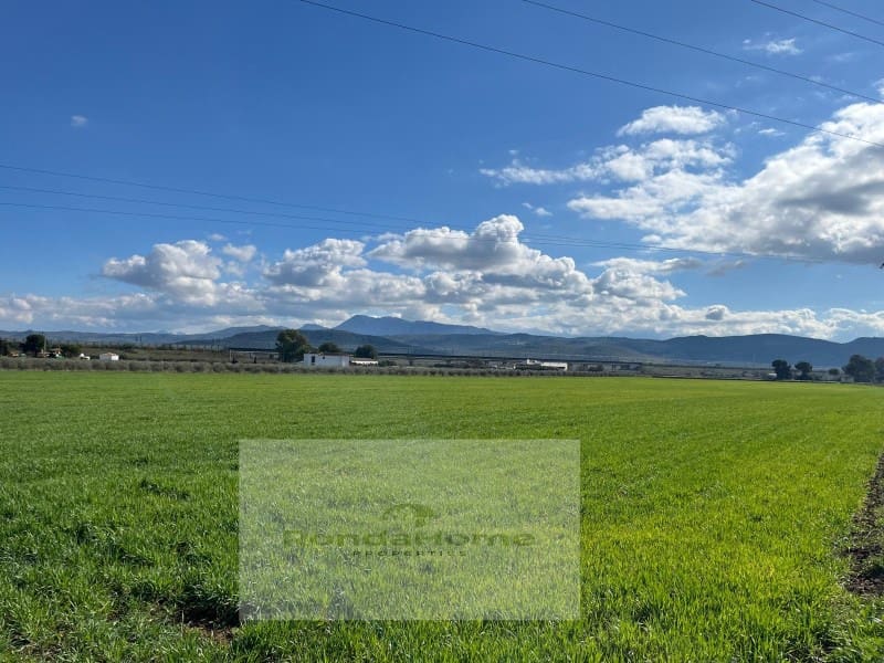 7 soveværelse Finca/Landehus til salg i Antequera - € 430.000 (Ref: 9105065)