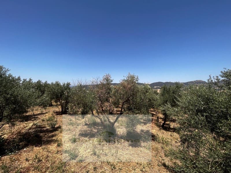 6 soveværelse Finca/Landehus til salg i Arriate med swimmingpool - € 430.000 (Ref: 9117063)