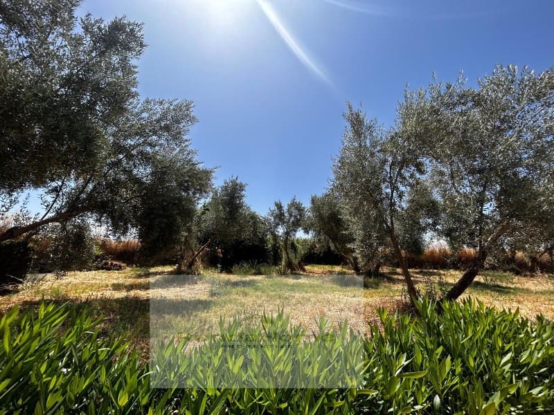 6 soveværelse Finca/Landehus til salg i Arriate med swimmingpool - € 430.000 (Ref: 9117063)