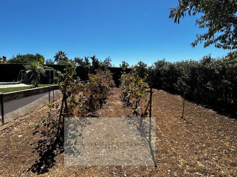 5 slaapkamer Villa te koop in Setenil de las Bodegas - € 600.000 (Ref: 9125531)