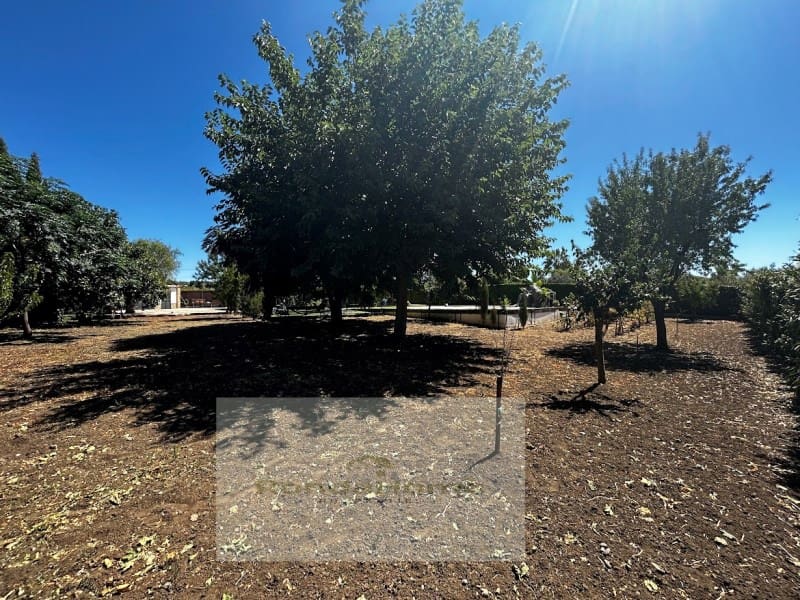 5 slaapkamer Villa te koop in Setenil de las Bodegas - € 600.000 (Ref: 9125531)