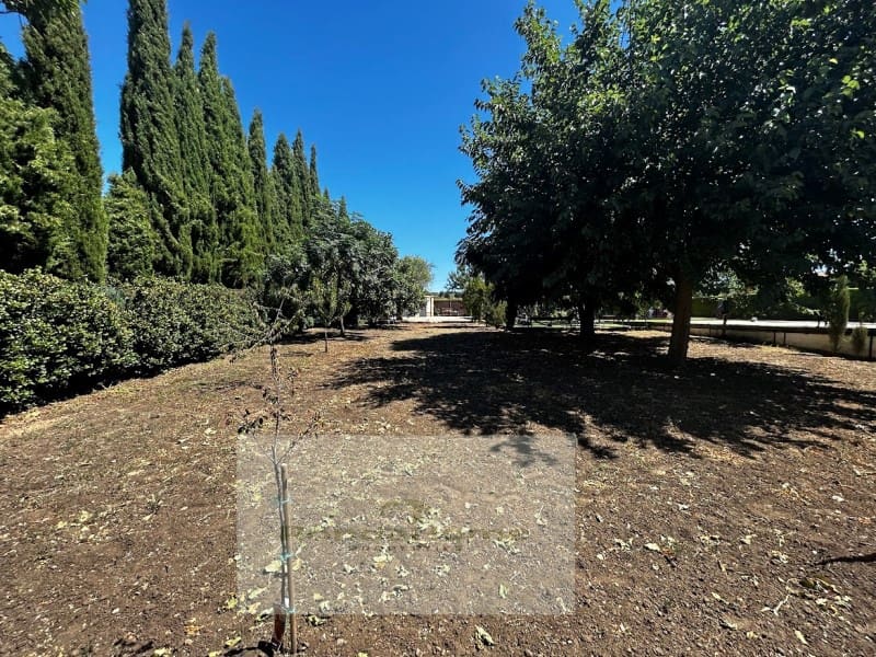 5 slaapkamer Villa te koop in Setenil de las Bodegas - € 600.000 (Ref: 9125531)