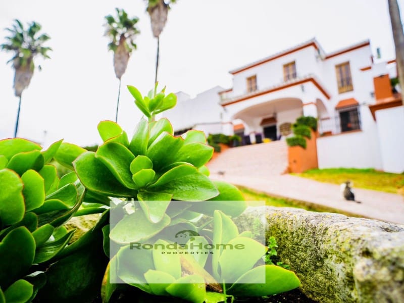 4 sypialnia Finka/Dom wiejski na sprzedaż w Villamartin z basenem garażem - 518 000 € (Ref: 9305187)