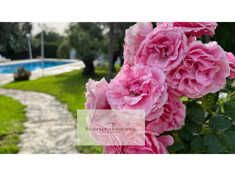 4 sypialnia Finka/Dom wiejski na sprzedaż w Villamartin z basenem garażem - 518 000 € (Ref: 9305187)