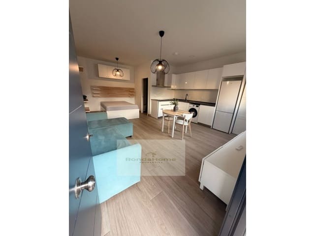 1 bedroom Studio for rent in Tiro de Pichon, Málaga city with garage - € 890 (Ref: 9541645)