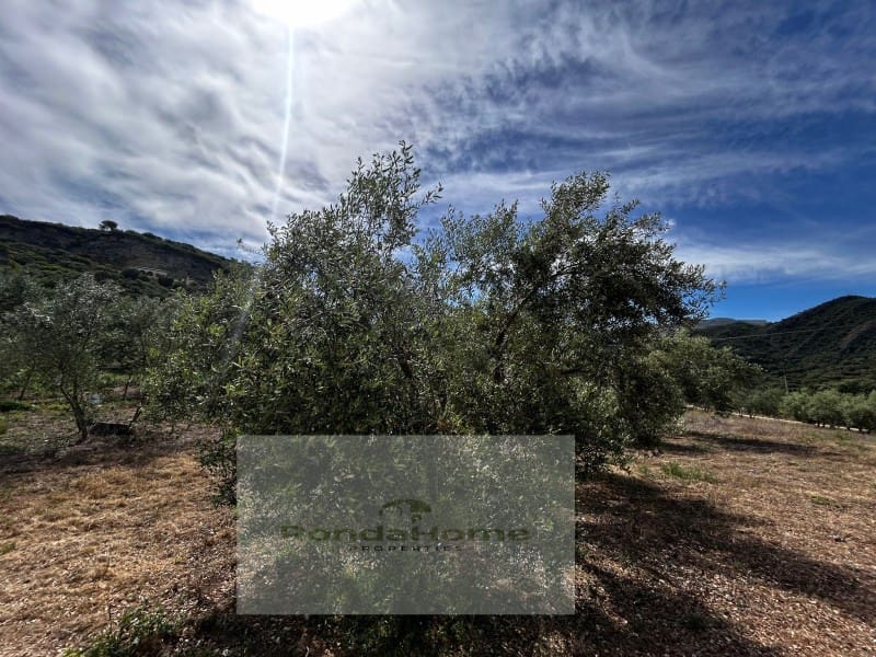 2 soverom Finca/Herregård til salgs i Ronda med svømmebasseng garasje - € 325 000 (Ref: 9820397)