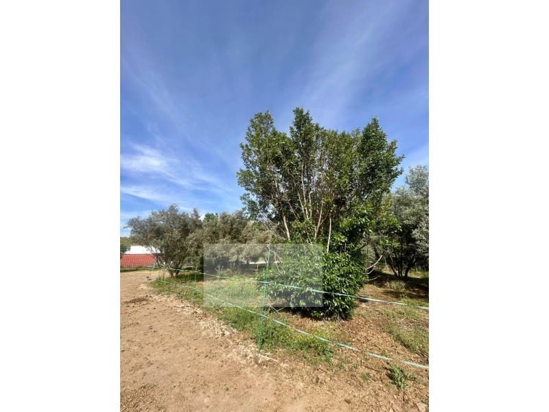 2 bedroom Finca/Country House for sale in Alora with pool garage - € 186,000 (Ref: 9952574)