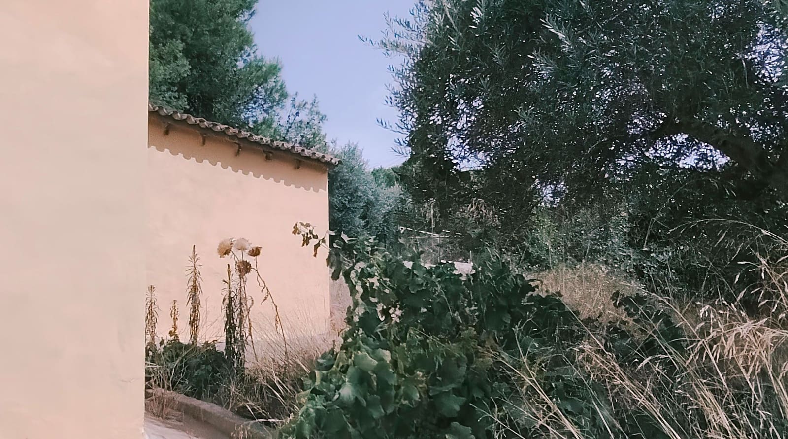3 Zimmer Villa zu verkaufen in Oliva - 250.000 € (Ref: 10034855)