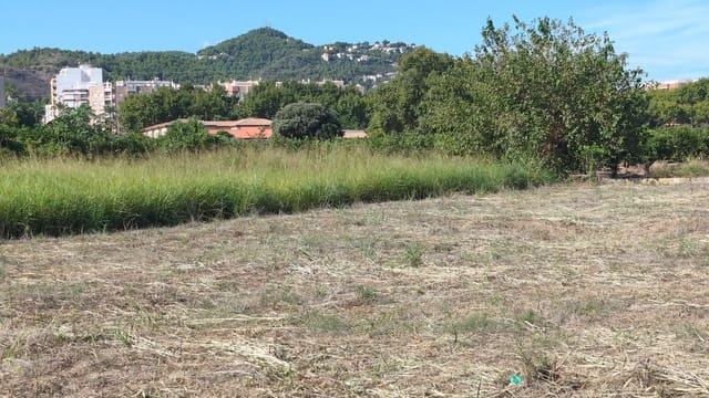 Finca/Country House for sale in Oliva Pueblo, Oliva - € 90,000 (Ref: 10061228)