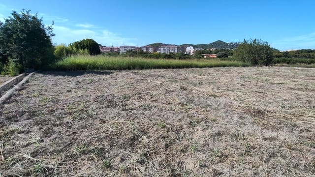 Finca/Country House for sale in Oliva Pueblo, Oliva - € 90,000 (Ref: 10061228)