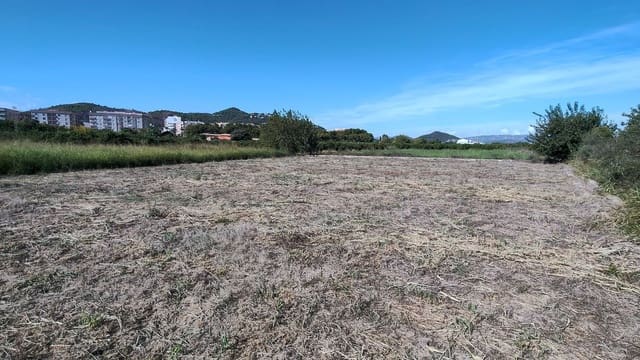 Finca/Country House for sale in Oliva Pueblo, Oliva - € 90,000 (Ref: 10061228)