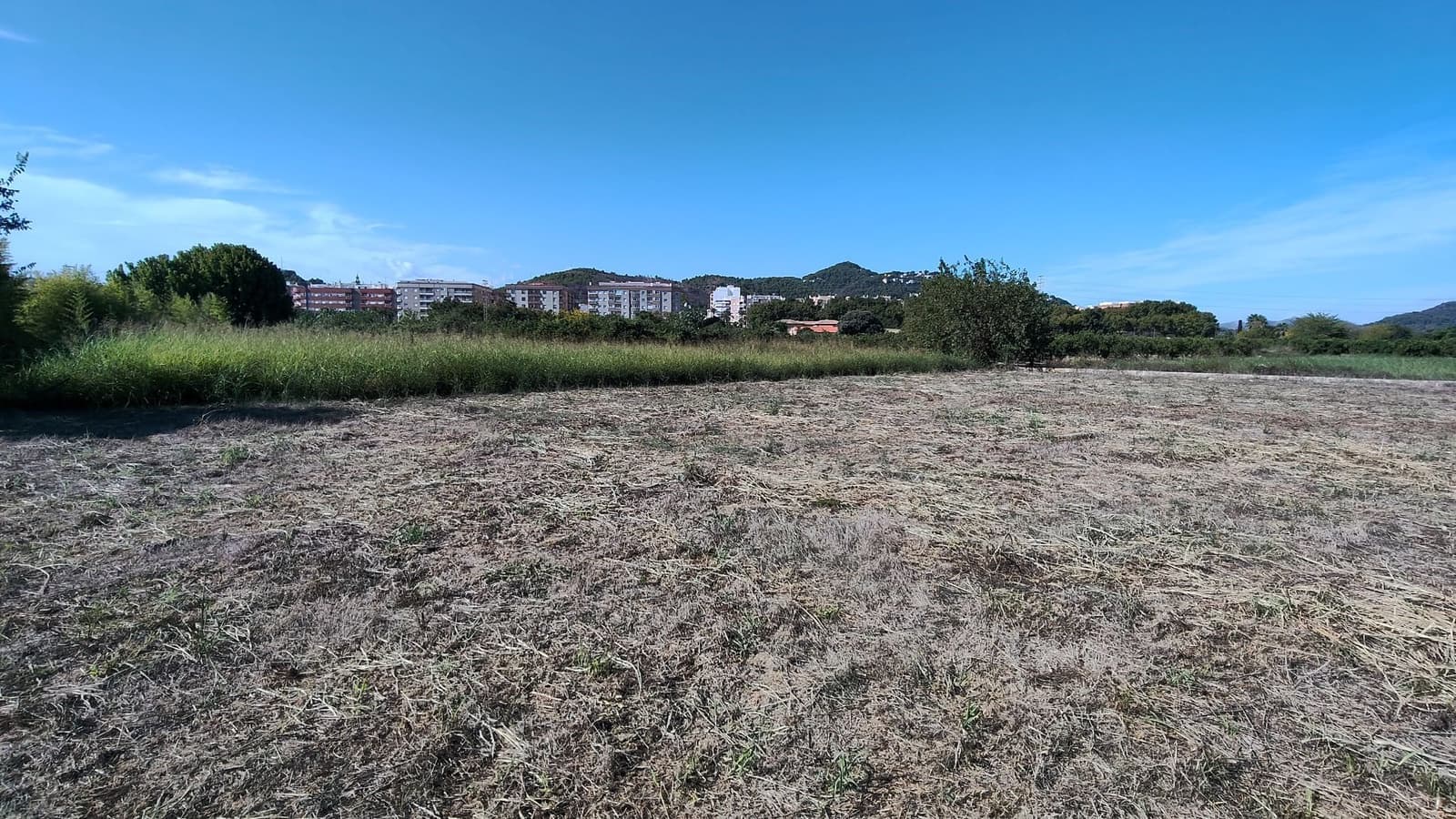 Finca/Country House for sale in Oliva - € 90,000 (Ref: 10061228)