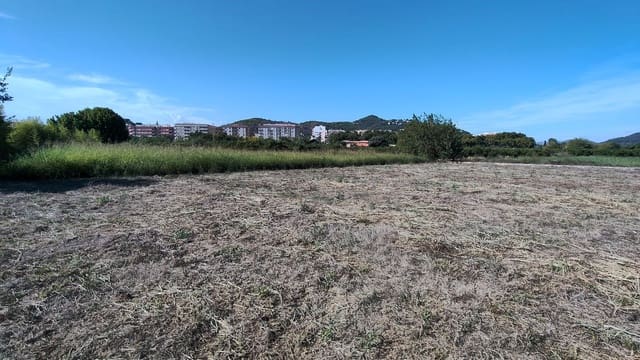 Finca/Country House for sale in Oliva Pueblo, Oliva - € 90,000 (Ref: 10061228)