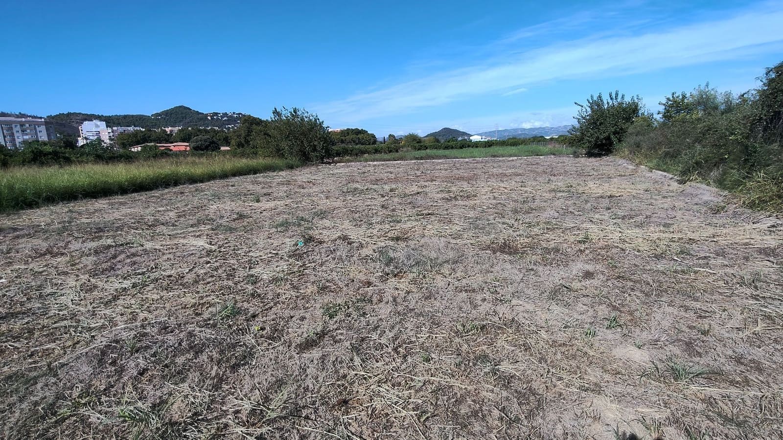 Finca/Country House for sale in Oliva - € 90,000 (Ref: 10061228)