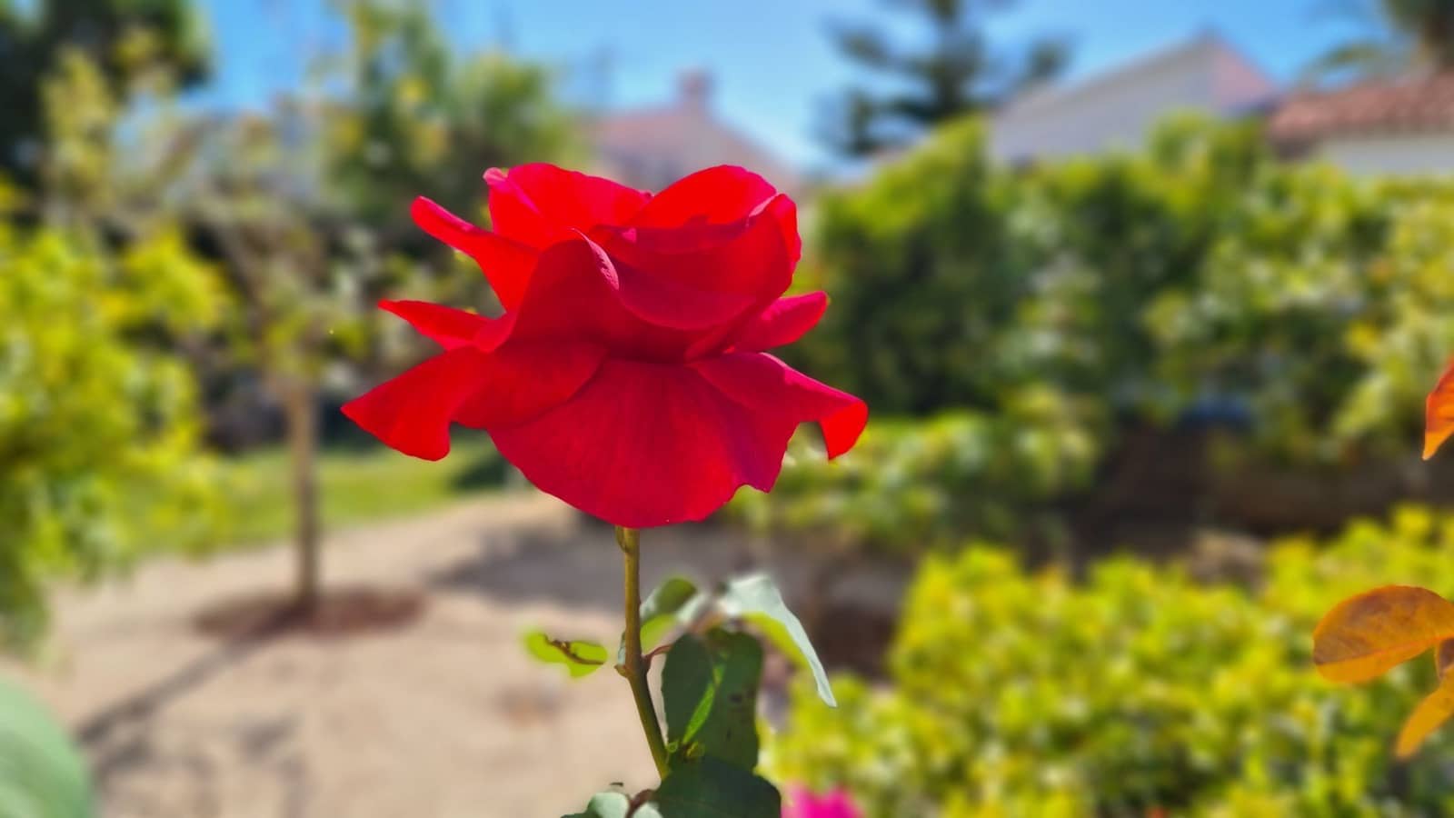 5 sypialnia Willa na sprzedaż w Els Poblets z basenem garażem - 848 000 € (Ref: 9072057)