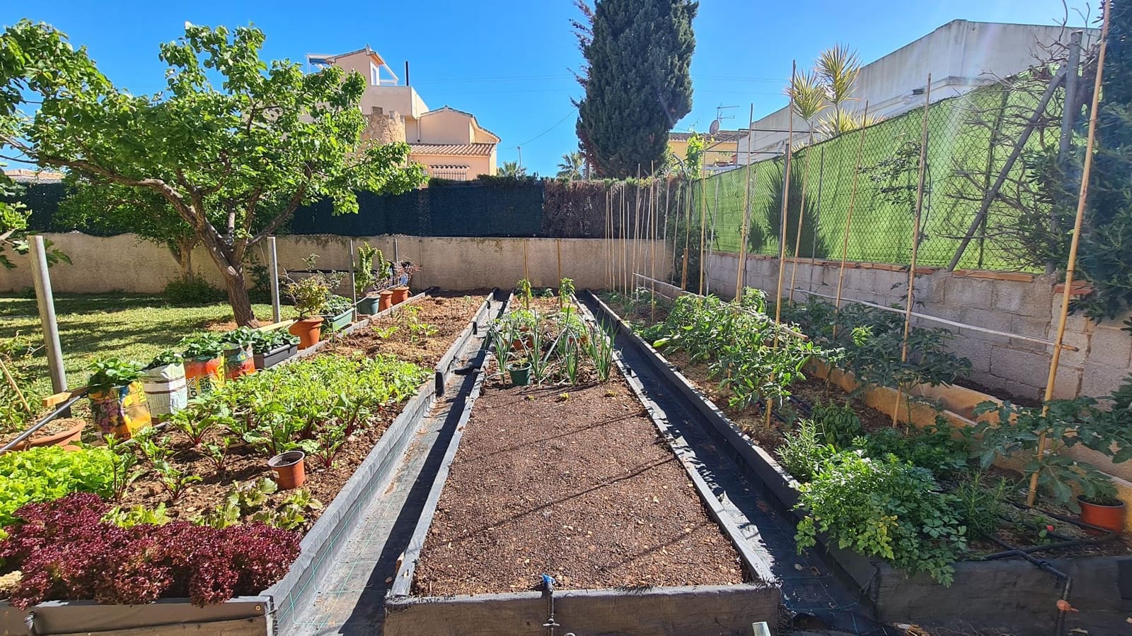 5 sypialnia Willa na sprzedaż w Els Poblets z basenem garażem - 848 000 € (Ref: 9072057)