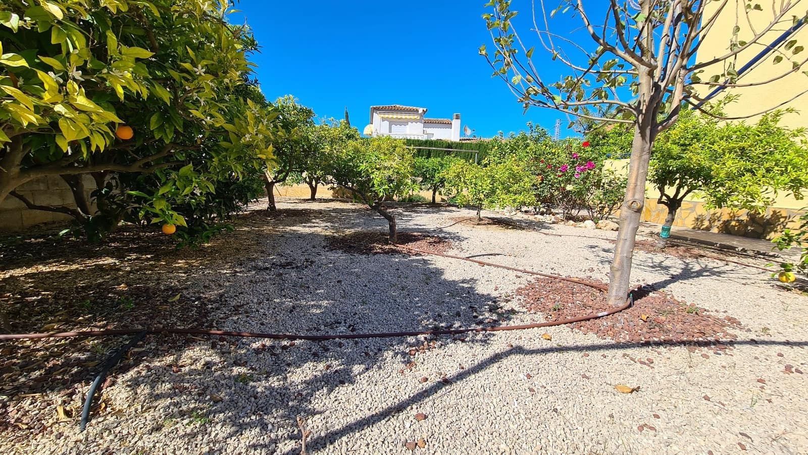 5 sypialnia Willa na sprzedaż w Els Poblets z basenem garażem - 848 000 € (Ref: 9072057)