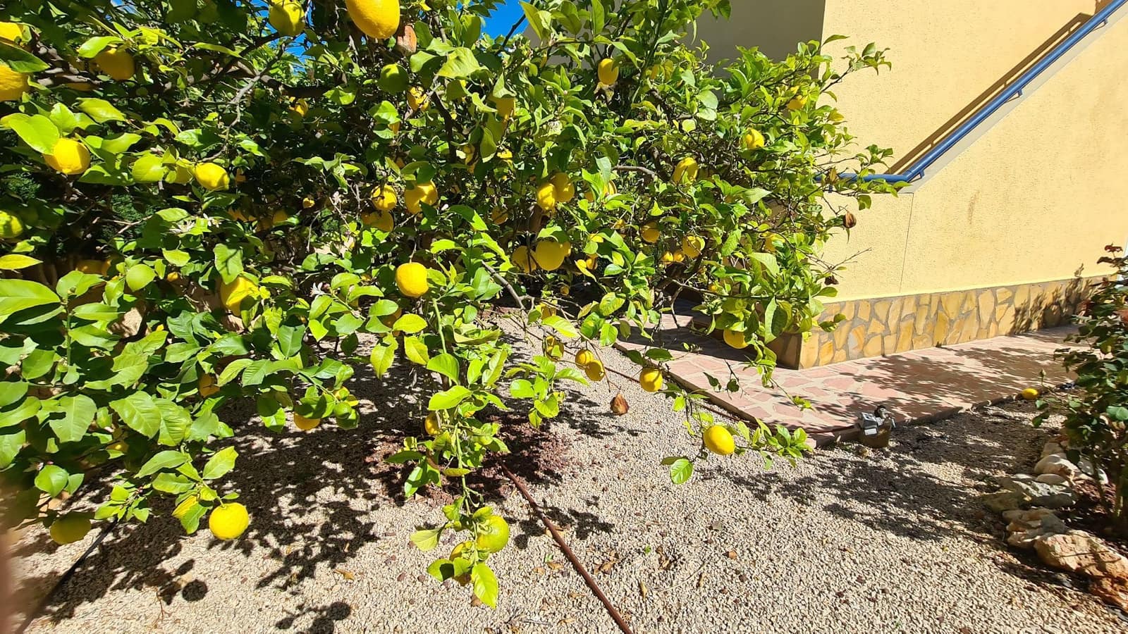 5 sypialnia Willa na sprzedaż w Els Poblets z basenem garażem - 848 000 € (Ref: 9072057)