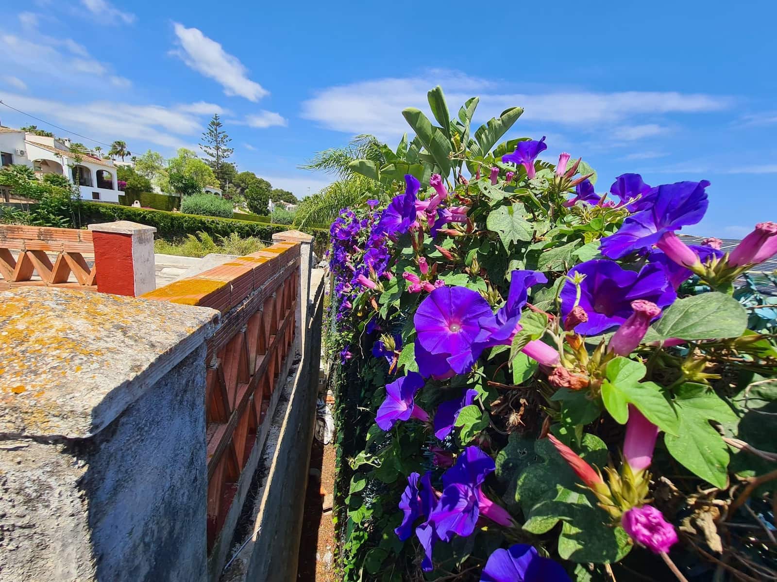 3 Zimmer Villa zu verkaufen in Javea / Xabia mit Garage - 860.000 € (Ref: 9072071)