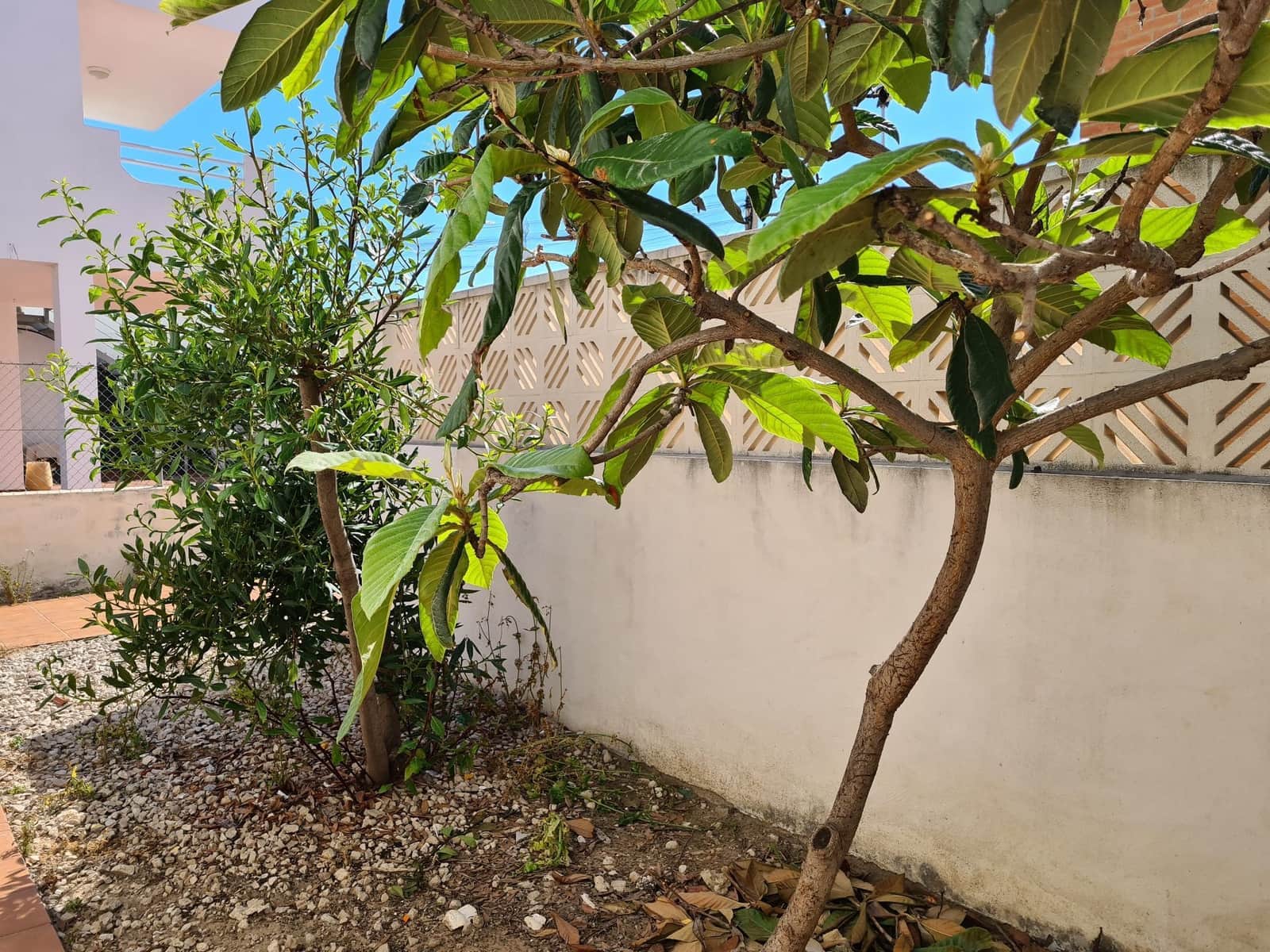 5 soveværelse Villa til salg i Oliva med garage - € 370.000 (Ref: 9072073)