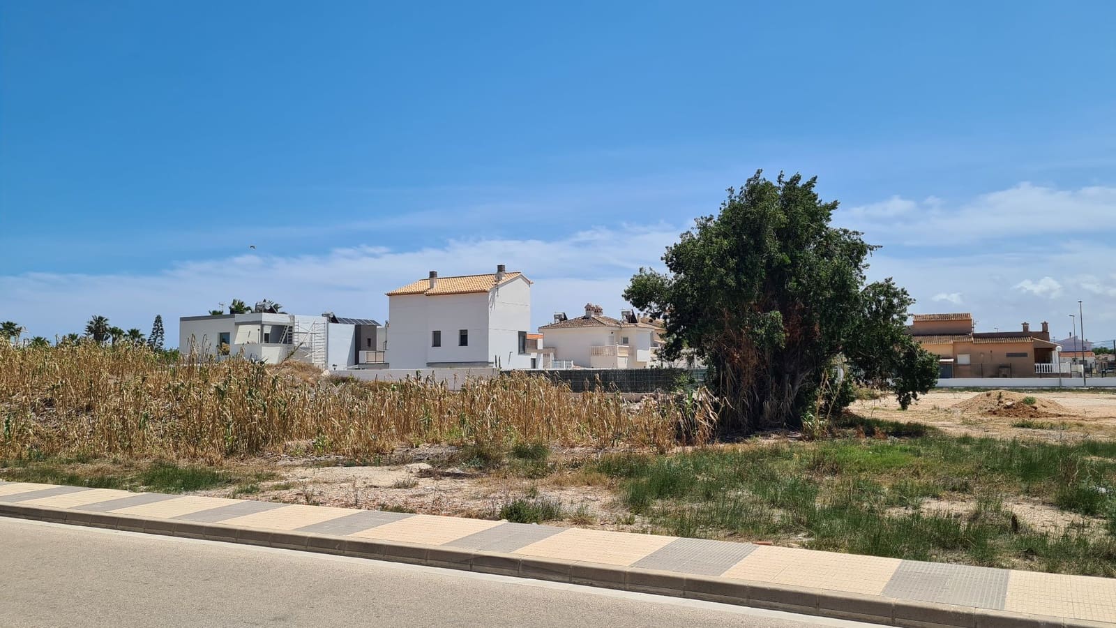 Mark till salu i Oliva - 170 000 € (Ref: 9072112)