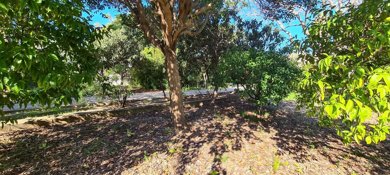 4 soveværelse Villa til salg i Els Poblets med garage - € 720.000 (Ref: 9072115)