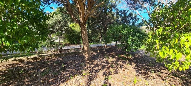 4 soverom Villa til salgs i Els Poblets med garasje - € 720 000 (Ref: 9072115)