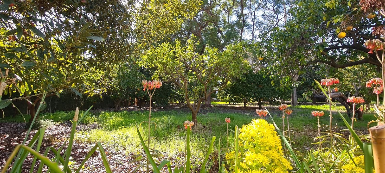 4 soveværelse Villa til salg i Els Poblets med garage - € 720.000 (Ref: 9072115)