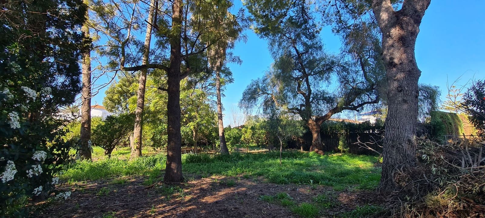 4 soveværelse Villa til salg i Els Poblets med garage - € 720.000 (Ref: 9072115)