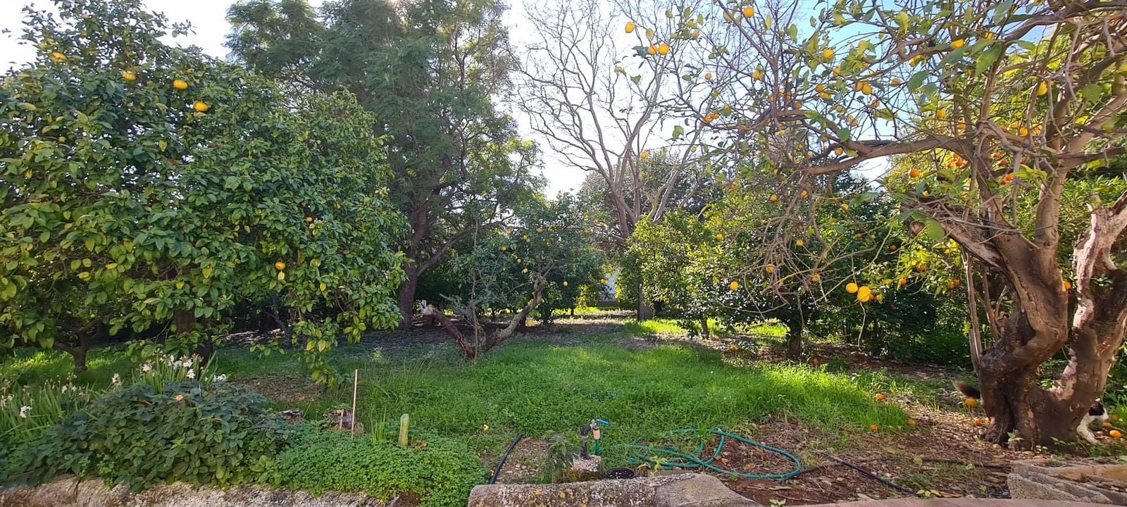 4 soveværelse Villa til salg i Els Poblets med garage - € 720.000 (Ref: 9072115)