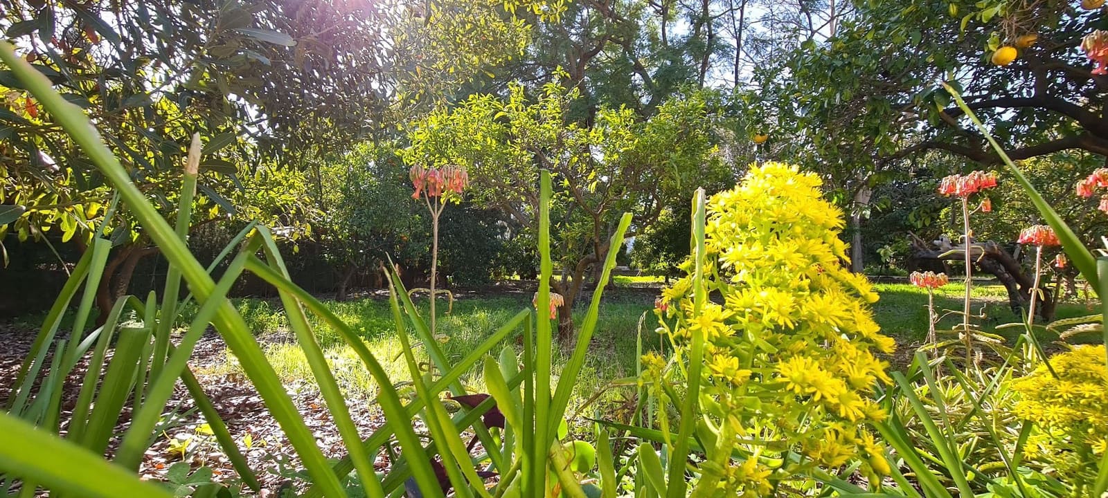 4 soveværelse Villa til salg i Els Poblets med garage - € 720.000 (Ref: 9072115)