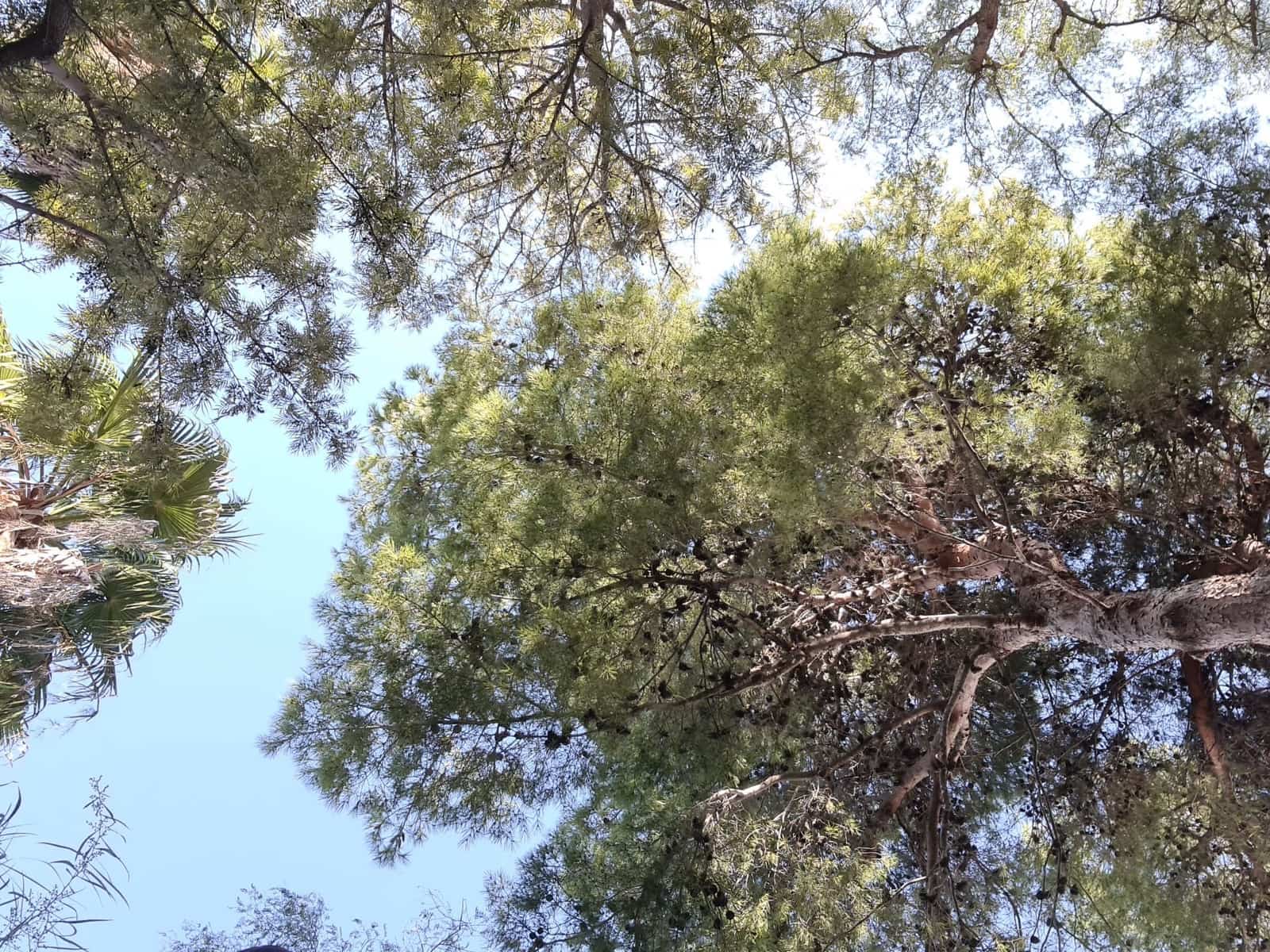 4 soveværelse Villa til salg i Els Poblets med garage - € 720.000 (Ref: 9072115)