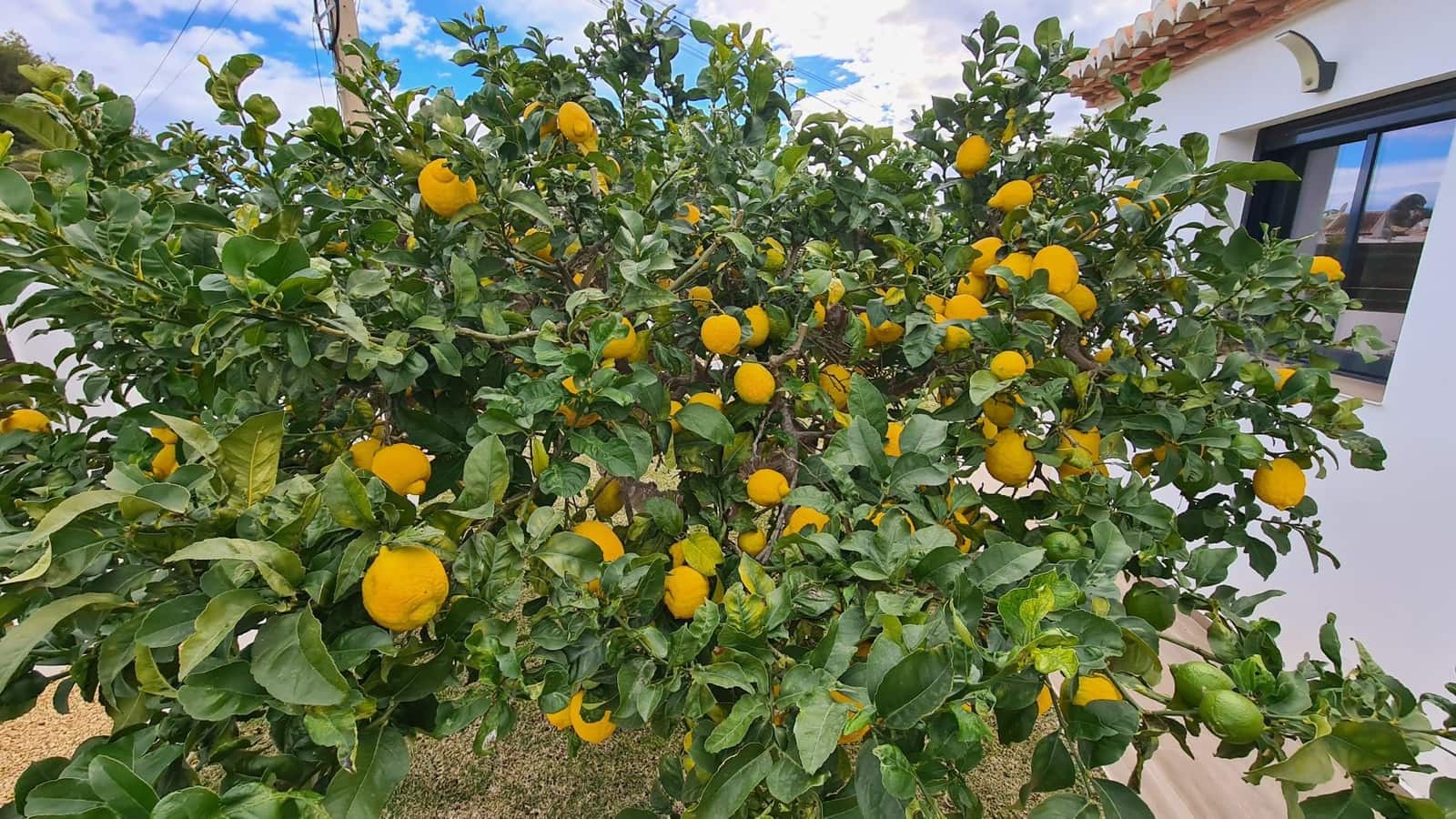 4 quarto Moradia para venda em Javea / Xabia com piscina garagem - 1 350 000 € (Ref: 9072118)