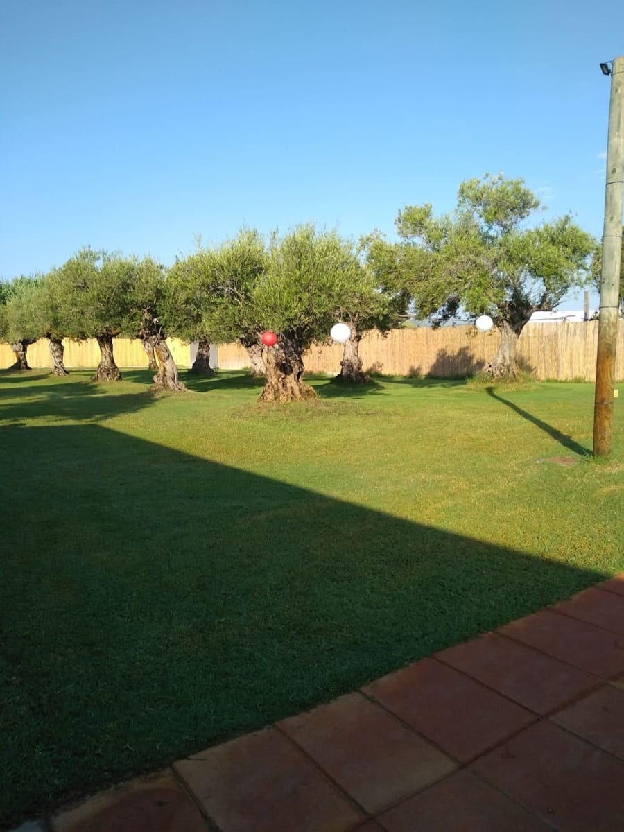 12 camera da letto Commerciale in vendita in Oliva Nova con piscina garage - 3.000.000 € (Rif: 9330082)