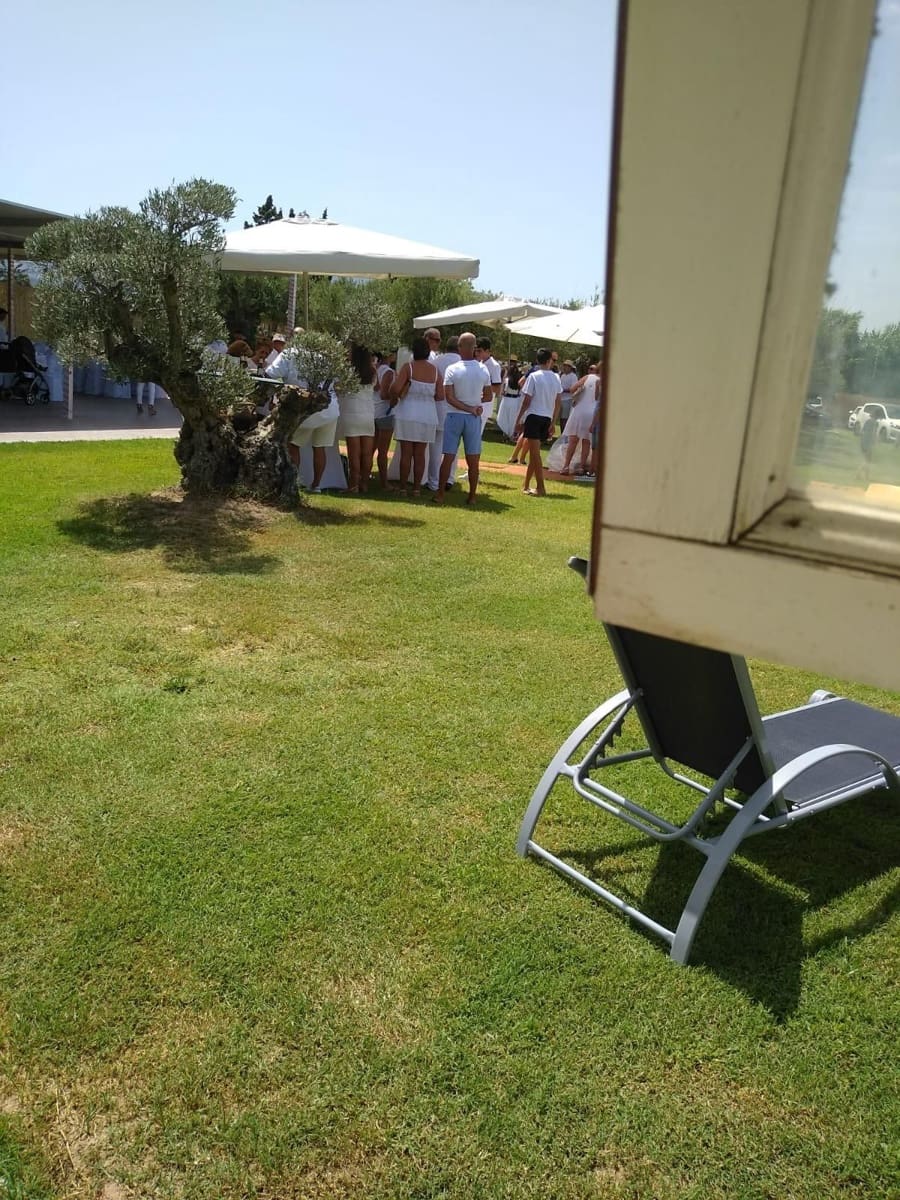 12 camera da letto Commerciale in vendita in Oliva Nova con piscina garage - 3.000.000 € (Rif: 9330082)