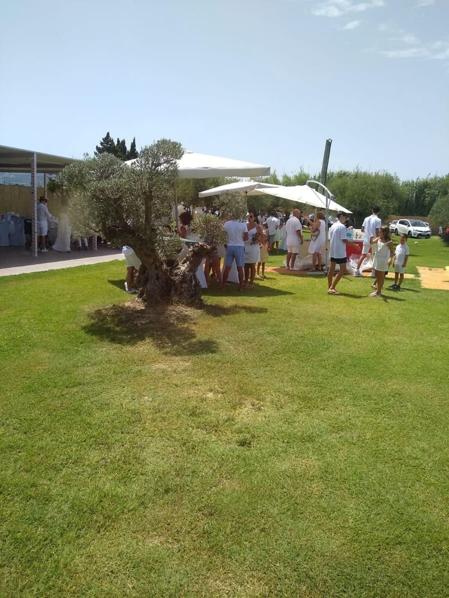 12 camera da letto Commerciale in vendita in Oliva Nova con piscina garage - 3.000.000 € (Rif: 9330082)