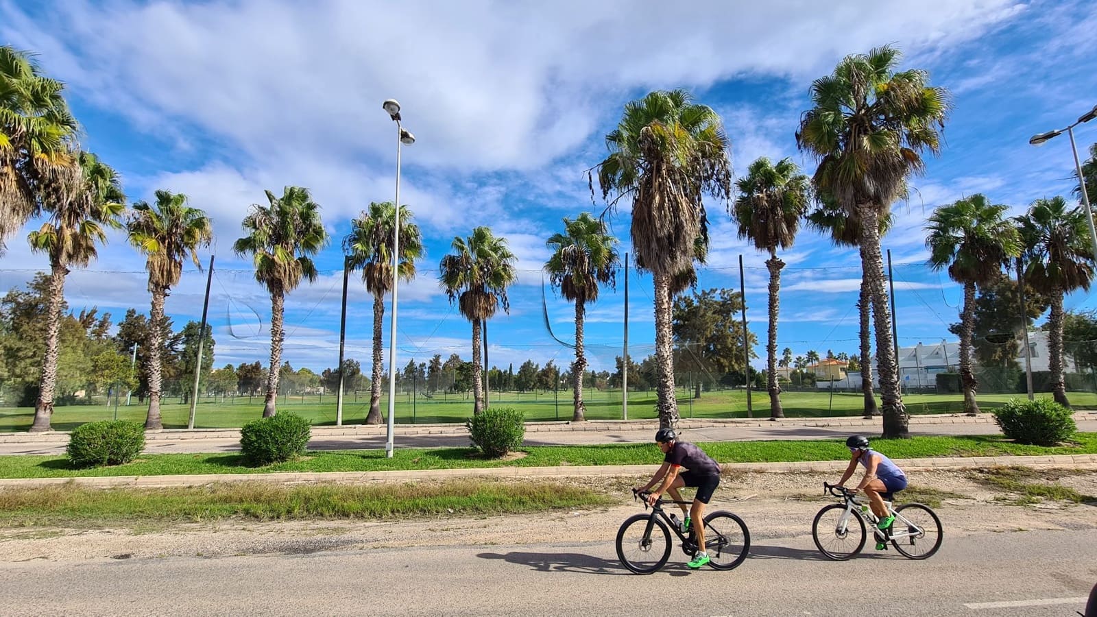 12 camera da letto Commerciale in vendita in Oliva Nova con piscina garage - 3.000.000 € (Rif: 9330082)